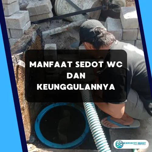 Manfaat Sedot WC dan Keunggulannya