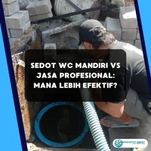 Sedot WC Mandiri vs Jasa Profesional: Mana Lebih Efektif?