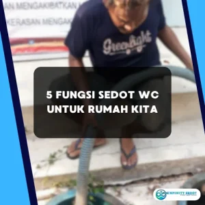 5 Fungsi Sedot WC untuk Rumah Kita