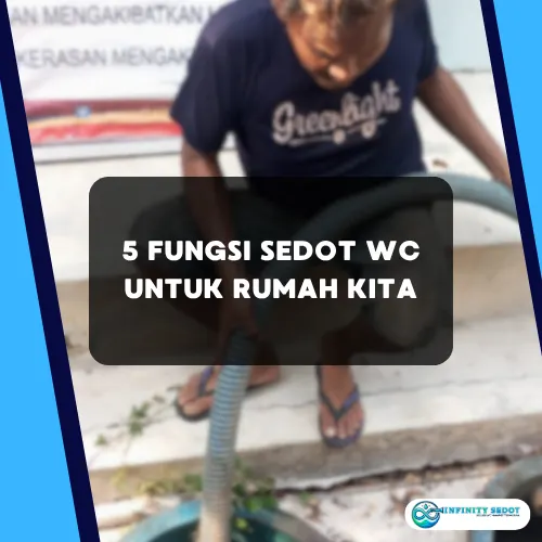 5 Fungsi Sedot WC untuk Rumah Kita