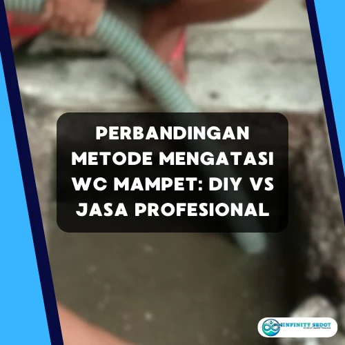 Perbandingan Metode Mengatasi WC Mampet DIY vs Jasa Profesional