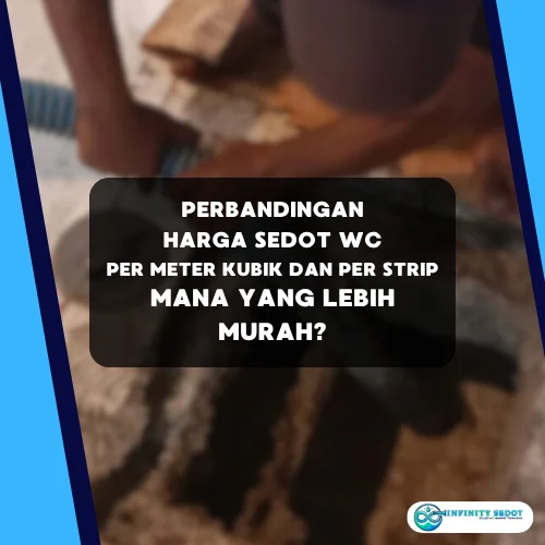 Perbandingan Harga Sedot WC Per meter kubik dan Per Strip, Mana yang Lebih Murah