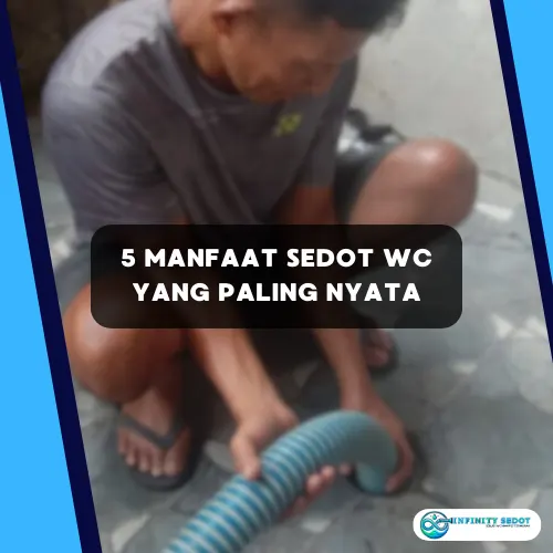 5 Manfaat Sedot WC yang Paling Nyata