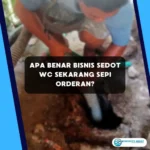 Apa Benar Bisnis Sedot WC Sekarang Sepi Orderan?